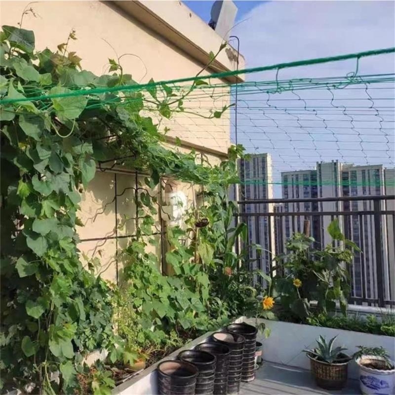 Mesh 9 Strands Agricultural Vi - مراجعة Agriculture Farming Net وسعره
