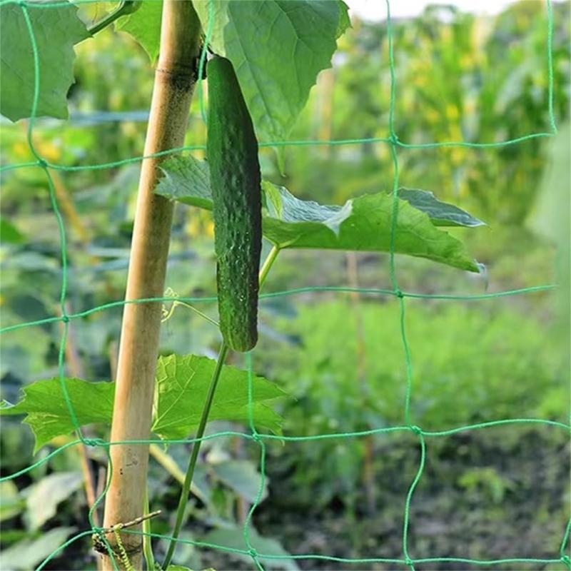 Mesh 9 Strands Agricultural Vi - مراجعة Agriculture Farming Net وسعره