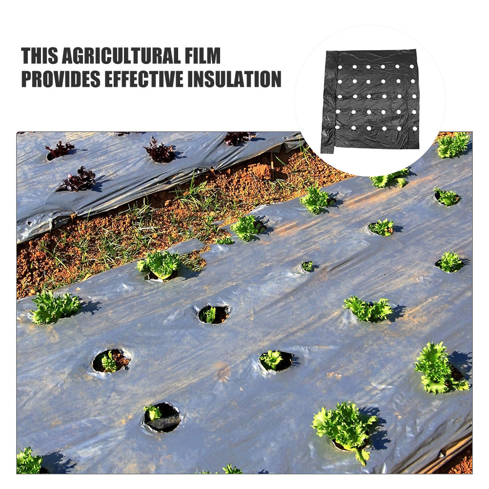 2Pcs Perforated Pe Mulching Fi - مراجعة Agriculture Farming Usa وسعره