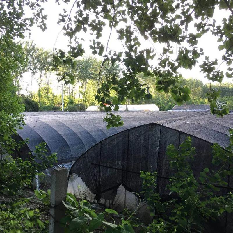 35~80% Shading Anti-UV Black H - مراجعة Agriculture Farming Net وسعره
